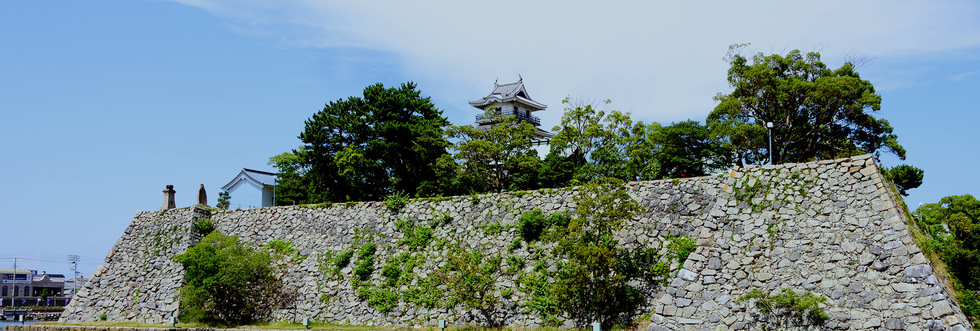 丹歯科医院